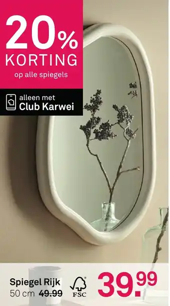 Karwei Spiegel Rijk aanbieding