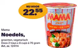 Bidfood Mama Noedels aanbieding
