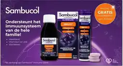 De Rode Pilaren Sambucol aanbieding