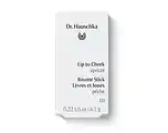 De Online Drogist Dr. Hauschka Lip to Cheek Apricot 01 aanbieding