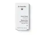 De Online Drogist Dr. Hauschka Lip to Cheek Rosewood 03 aanbieding
