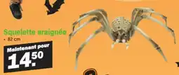 Van Cranenbroek Squelette araignée aanbieding