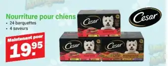 Van Cranenbroek Cesar Nourriture pour chiens aanbieding