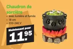 Van Cranenbroek Chaudron de sorcière aanbieding