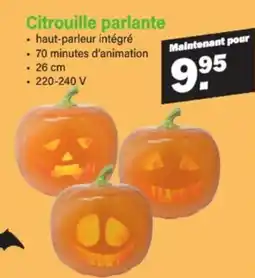 Van Cranenbroek Citrouille parlante aanbieding