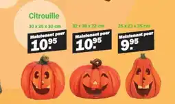 Van Cranenbroek Citrouille aanbieding