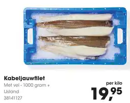HANOS Kabeljauwfilet aanbieding