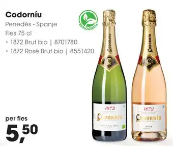 HANOS Codorníu aanbieding