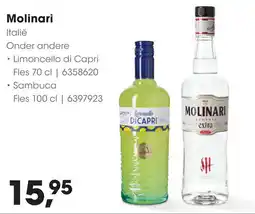 HANOS Molinari aanbieding