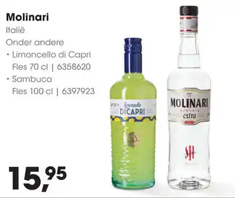 HANOS Molinari aanbieding