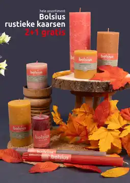 Deka Tuin hele assortiment Bolsius rustieke kaarsen aanbieding