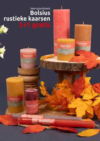 Deka Tuin hele assortiment Bolsius rustieke kaarsen aanbieding
