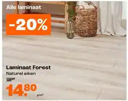 Kwantum Laminaat Forest aanbieding