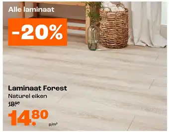 Kwantum Laminaat Forest aanbieding