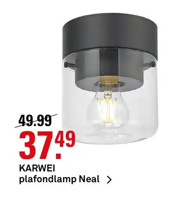 Karwei Plafonflamp Neal aanbieding