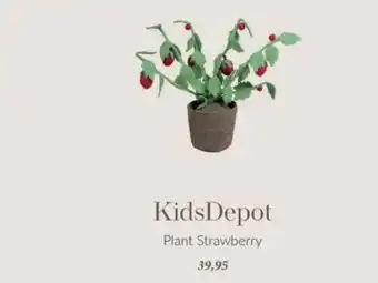 Babypark KidsDepot aanbieding