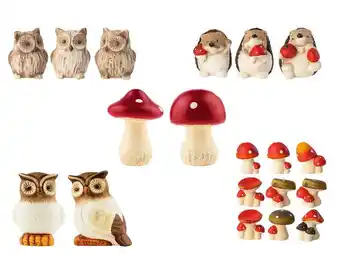 Lidl LIVARNO home Herfst decoratie aanbieding