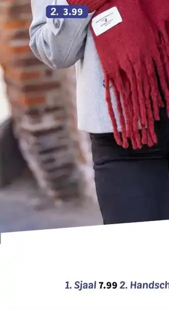 Wibra Handschoenen aanbieding