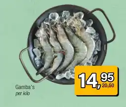 Amazing Oriëntal Gamba's aanbieding