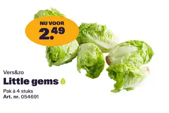 Bidfood Vers&zo Little gems aanbieding