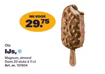 Bidfood Ola IJs aanbieding