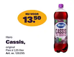 Bidfood Hero Cassis, aanbieding