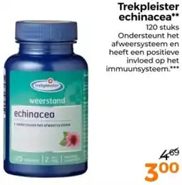 Trekpleister Trekpleister echinacea aanbieding