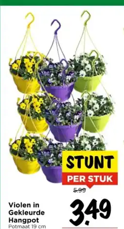 Vomar Voordeelmarkt Violen in Gekleurde Hangpot aanbieding