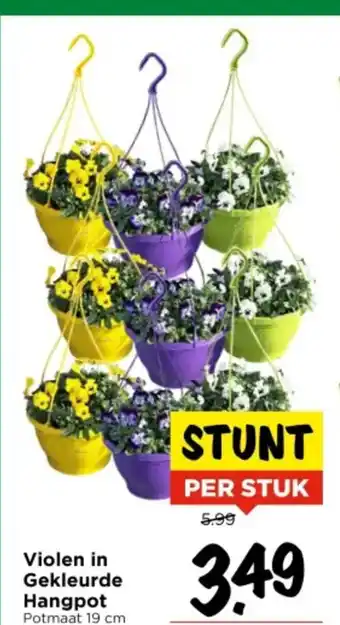 Vomar Voordeelmarkt Violen in Gekleurde Hangpot aanbieding