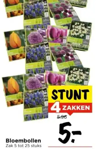 Vomar Voordeelmarkt Bloembollen aanbieding