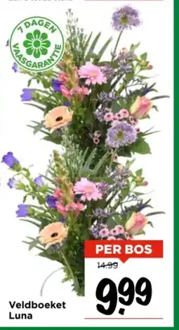 Vomar Voordeelmarkt Veldboeket Luna aanbieding