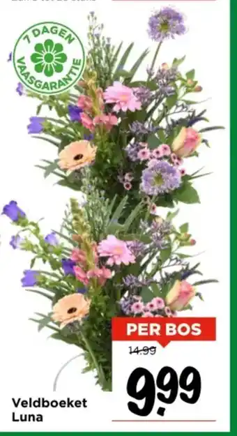 Vomar Voordeelmarkt Veldboeket Luna aanbieding