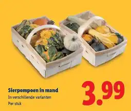 Lidl Sierpompoen in mand aanbieding
