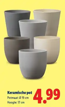 Lidl Keramische pot aanbieding