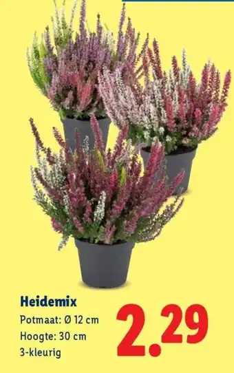 Lidl Heidemix aanbieding