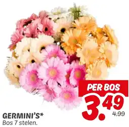 Dekamarkt Germini's aanbieding