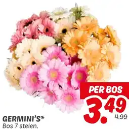 Dekamarkt Germini's aanbieding