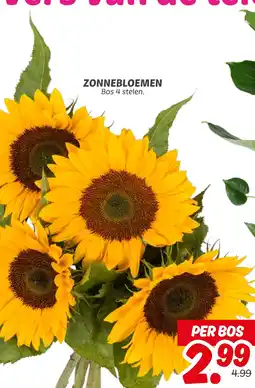 Dekamarkt Zonnebloemen aanbieding