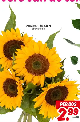 Dekamarkt Zonnebloemen aanbieding