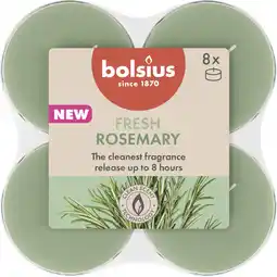 Albert Heijn Bolsius Maxilichten 8u true scents rozemarijn aanbieding