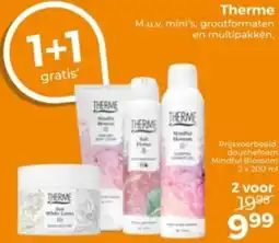 Trekpleister Therme aanbieding