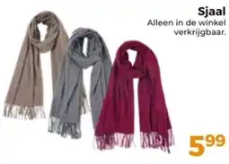 Trekpleister Sjaal aanbieding