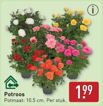 ALDI Potroos aanbieding