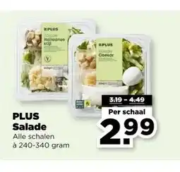 PLUS PLUS Salade aanbieding
