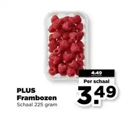 PLUS PLUS Frambozen aanbieding