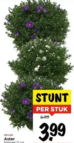 Vomar Voordeelmarkt Aster aanbieding