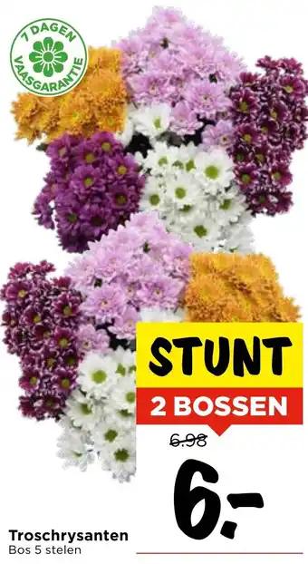 Vomar Voordeelmarkt Troschrysanten aanbieding