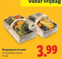 Lidl Sierpompoen in mand aanbieding