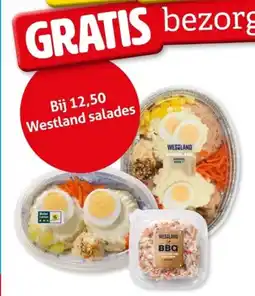 Hoogvliet Westland salades aanbieding