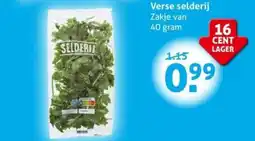 Hoogvliet Verse selderij aanbieding